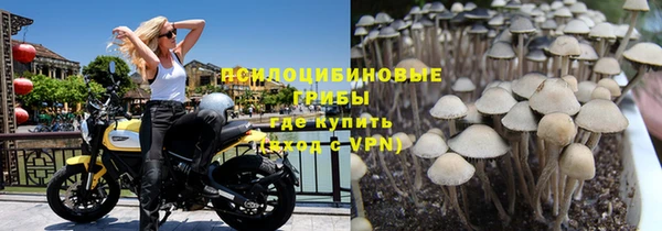 винт Краснослободск