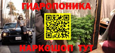 соль ск Гай