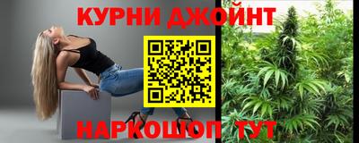 mdpv Гатчина
