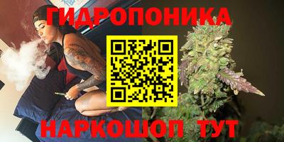 mdpv Гатчина