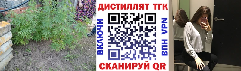 ТГК Wax  Железногорск 