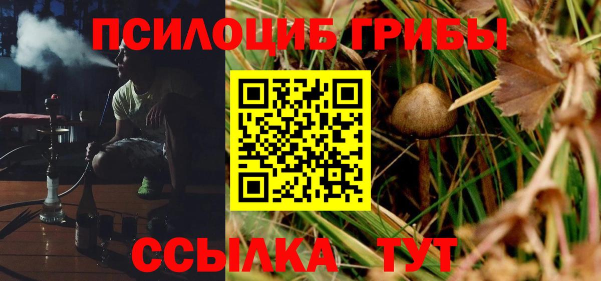 даркнет сайт  Вход с VPN  Железногорск  Галлюциногенные грибы Cubensis 